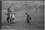 Pig festival, stake-planting, Tuguma: decorated men pierce dance ground to expel enemy spirits