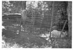 Day at Fila Islands with P.R.C. missionaries Bill and Margaret Tuthill, Walter Tulangi