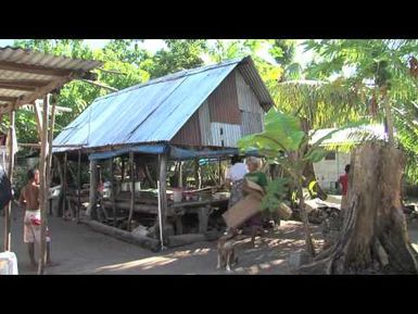 SURVIVAL CHALLENGES: Food & Water Security in Tuvalu