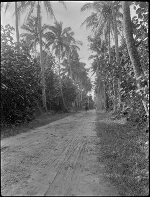 Rarotonga