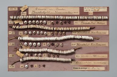 Shell money on pasteboard