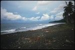 Beach scene landscape