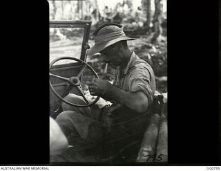 LOS NEGROS ISLAND, ADMIRALTY ISLANDS. 1944-03-18. SITTING IN A JEEP, FLYING OFFICER F. O'KEEFE, NSW, ONE OF THE OFFICERS WITH THE FIRST MAIN PARTY OF RAAF TO GO ASHORE AT MOMOTE. HE HAD TO EXPLODE ..