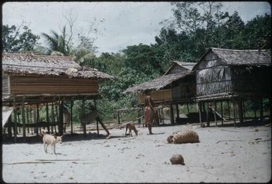 Village houses (3) : Bwalalea village, D'Entrecasteaux Islands, Papua New Guinea, 1956-1958 / Terence and Margaret Spencer