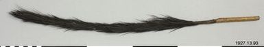 feather tail, tail, feather tail