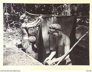 BOUGAINVILLE, 1945-05-18. CORPORAL C.R. HENHAM (1), AND PRIVATE D.J. MARSLAND (2), 57/60 INFANTRY BATTALION, ERECTING A TWO MAN TENT OVER THEIR FOXHOLE AFTER THE COMPANY HAD GAINED ITS OBJECTIVE ..