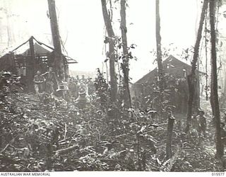 1943-08-16. NEW GUINEA. MOUNT TAMBU. AUSTRALIANS CLEARING THE JUNGLE ROUND HOUSE BANANA DRESSING STATION. THE STATION SERVES AS A STAGING CAMP ON THE TRACK FROM MOUNT TAMBU WHERE WALKING AND OTHER ..