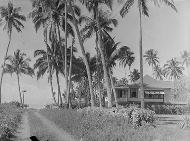 [House surrounded by tropical plants]