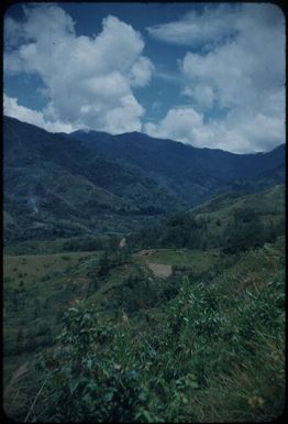 Looking up the Minj Valley from hills at back of hospital : Papua New Guinea, 1954 / Terence and Margaret Spencer