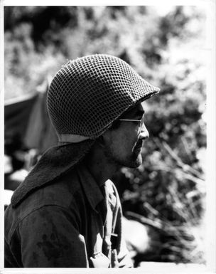 Nisei sniper