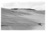 View across dunes