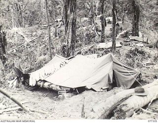 TOROKINA AREA, BOUGAINVILLE ISLAND. 1944-11-29. THE TENTS OF C COMPANY, 9TH INFANTRY BATTALION SCATTERED ALONG MARTIN'S KNOLL, LEADING TO GEORGE HILL DURING THE UNIT PREPARATIONS FOR THE ATTACK ON ..