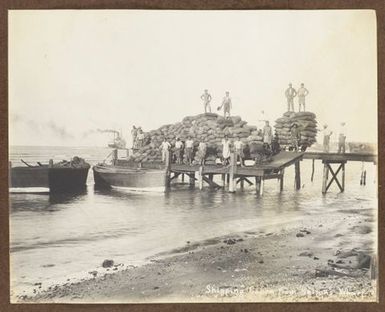 Shipping copra from Nelson's Wharf. From the album: Samoa