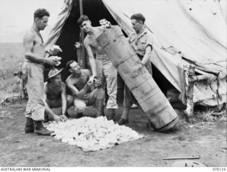 GUSAP, RAMU VALLEY, NEW GUINEA. 1944-01-02. LEADING AIRCRAFTMAN G. KELLY (1); SERGEANT C. CRANE (2); LEADING AIRCRAFTMAN F.S. WATERS (3); CORPORAL J.D. GRIFFITHS (4); AND SERGEANT R. SYMONDS (5) ..