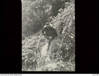 AITAPE, NORTH EAST NEW GUINEA. C. 1944-06. CORPORAL A. J. WHYTE, QLD, A RAAF POWDER MONKEY, USES A PNEUMATIC DRILL TO DRILL CORAL TO BE USED AS FOUNDATIONS FOR AN AIRSTRIP IN THE AITAPE AREA