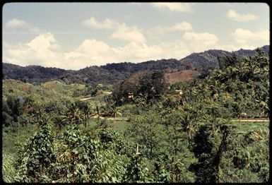 On the road to Nadi, Fiji, 1971