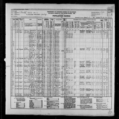 1940 Census Population Schedules - Hawaii - Maui County - ED 5-44