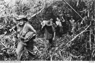 NEW GUINEA. SATTELBERG AREA. 6 DECEMBER 1943. AT MANGROVE RIDGE ON THE RIGHT FLANK OF SATTELBERG, SUPPLIES ARE TAKEN FORWARD FOR FRONT LINE TROOPS