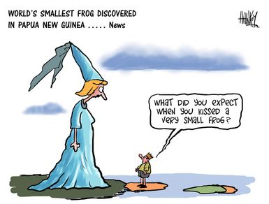 Hawkey, Allan Charles, 1941- :'What did you expect when you kissed a very small frog?'. 14 January 2012