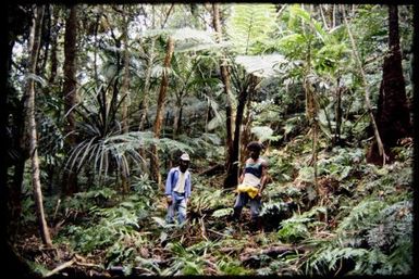 Julio & Ernes Farino in forest at 400 m