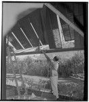 Hawaii: Tahitian Lanai restaurant. Architectural detail