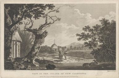 View in the island of New Caledonia / drawn from nature by W. Hodges; engraved by W. Byrne