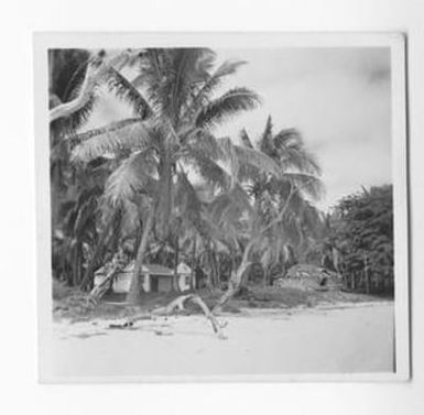 [Buildings on the Beach of the Isle of Pines]