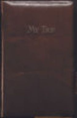 Sara Lockwood Williams diaries, folder 1429, volume 2, 1927
