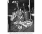 CAPT. Roy W. LaJeunesse with lobsters caught near Rongerik, 1947