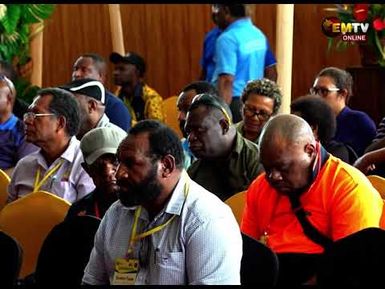 HOLEMBA SHARES ISSUES