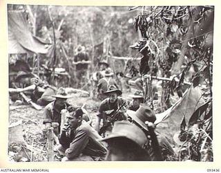 TROOPS OF 2/8 INFANTRY BATTALION, ABOUT 100 YARDS FROM THE FOOT OF MOUNT SHIBURANGU READY FOR THE DRIVE UP THE SLOPE TO ATTACK JAPANESE FORCES. THEY ARE BEING ASSISTED BY AIRSTRIKES FROM RAAF ..