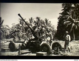 Finschhafen, New Guinea. 1943-11-09. A 40 mm Bofors M1 anti aircraft gun crew of the 870th United States Engineer Aviation Battalion on the alert protecting personnel constructing a road between ..