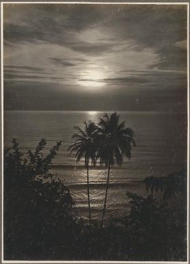 [Sunset over the sea with palm tree, Papua New Guinea, 2]