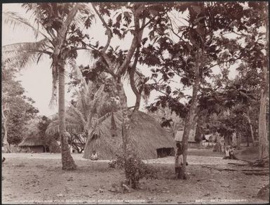 Children of a Fila Island village, New Hebrides, 1906 / J.W. Beattie