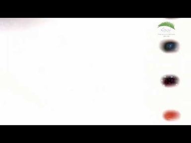 KVZK TV Live Stream