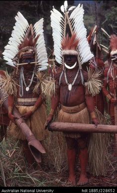 Elaborately dressed Febi drummers with intricate designs painted on their bodies prepare to participate in the end-of-year cultural activities at Koroba Provincial High School