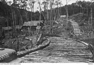 MILNE BAY, NEW GUINEA. 1943-03. A SECTION OF THE HILL STATION ROAD BEING CONSTRUCTED AS A CORDUROY ROAD BY SAPPERS OF "D" COMPANY, 2/1ST PIONEER BATTALION AND NATIVE LABOURERS