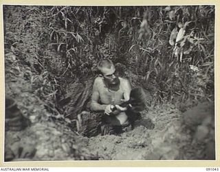 BOUGAINVILLE. 1945-04-18. PRIVATE L.C. HARKER, 24 INFANTRY BATTALION DIGGING A WELL FOR DRINKING WATER BESIDE THE BUIN ROAD. OWING TO THE SWAMPY NATURE OF THE COUNTRY GOOD WATER CAN BE OBTAINED ..