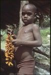 Sitoa of Kwailala'e (Sinalagu coastal slope) with wild betel nuts