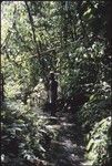 Man standing in creek
