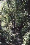 Man standing in creek