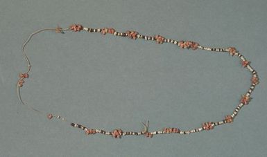 Shell necklace