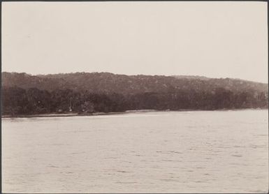 Onetere, Island of San Cristoval, Solomon Islands, 1906 / J.W. Beattie