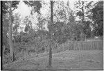 Edwin Cook's house in Kwiop: fence and sign