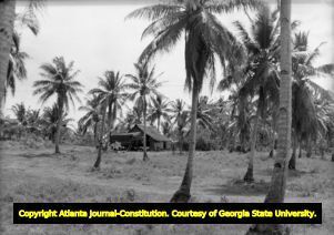 Small hut sits among palm trees outside a village in Guam, 1949