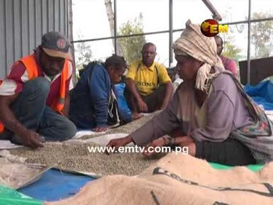 Agriculture Sector continues to Strive after 45 Years