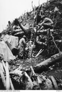 SHAGGY RIDGE, NEW GUINEA. 1944-01-10. THE SHATTERED REMAINS OF WHAT WAS THE THICKLY TIMBERED SIDE OF THE "PIMPLE". IN THE FOREGROUND IS A DUGOUT AND MEN OF "A" COMPANY, 2/9TH INFANTRY BATTALION