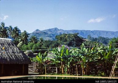 Tahiti - view from dining room, Matavai Hotel, Papeete