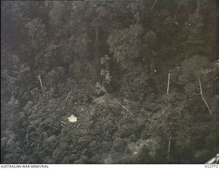 NEW GUINEA. C. 1944. AERIAL PHOTOGRAPH OF JUNGLE TERRAIN. NOTE THE WHITE TENT WHICH STANDS OUT FROM THE SURROUNDING TREES