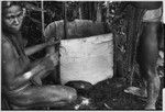 Pig festival, uprooting cordyline ritual, Tsembaga: men make bark oven to cook pandanus and marsupials